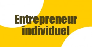 entrepreneur-individuel.png